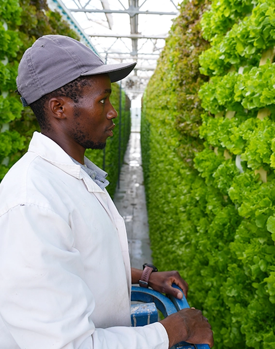 Solutions orientation 