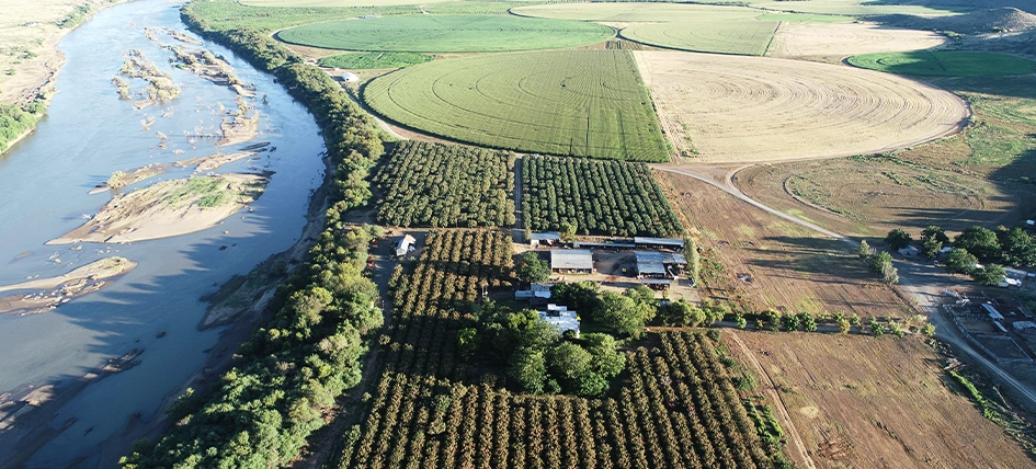 De-linking your portfolio from the stock market