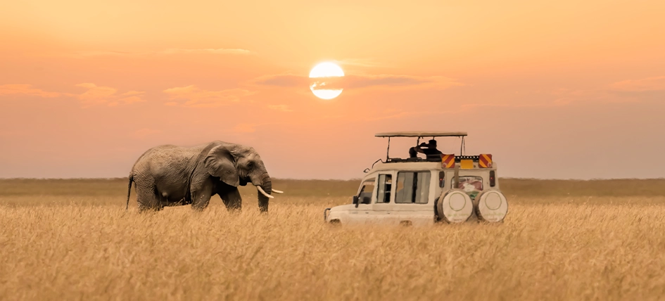 Are your financial goals tracking with your investment strategy?