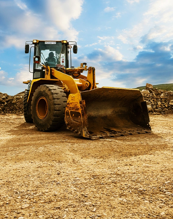 Deep asset specialisation