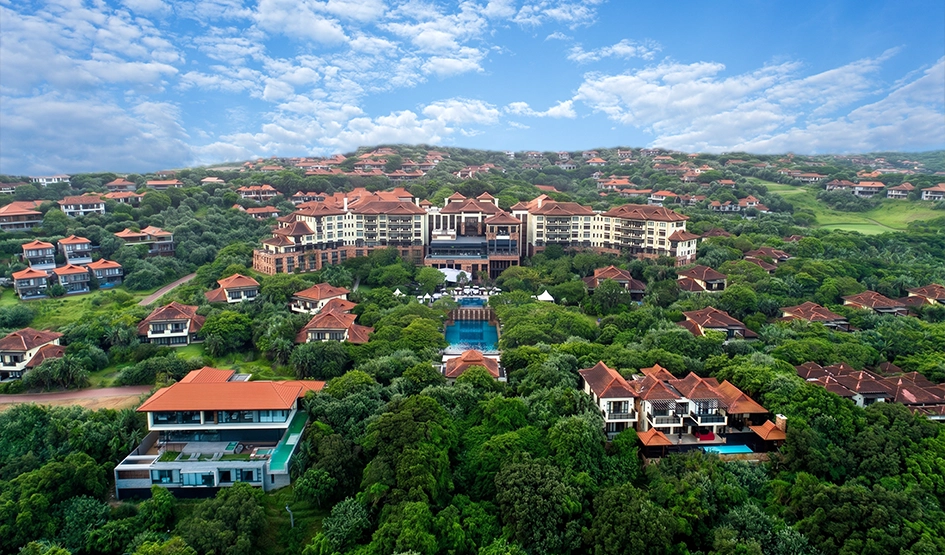 26 articles-inline-zimbali-inline.webp