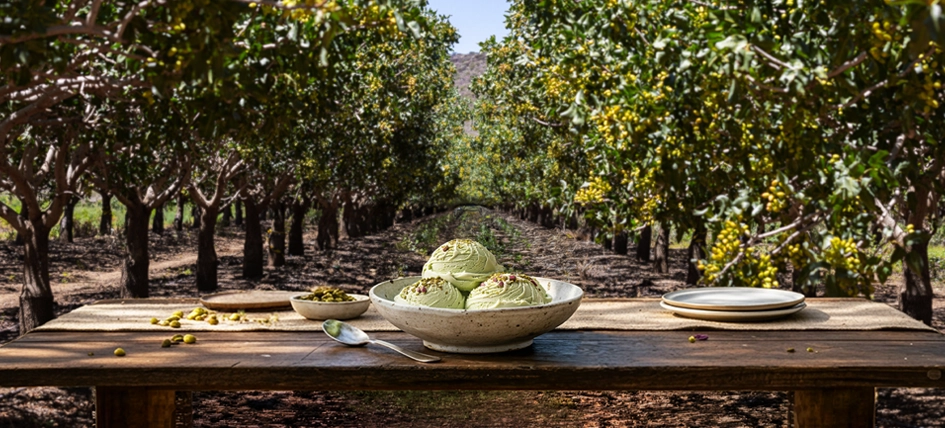 The scoop on how private capital is funding a homegrown pistachio industry